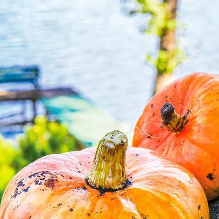 Stunning In Mragowo Ferienhaus Mrągowo