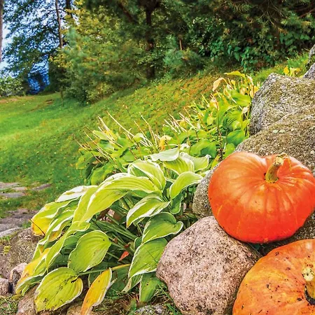 Ferienhaus Stunning In Mragowo *